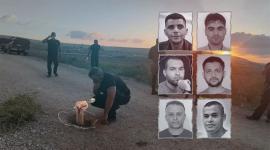 أسرى نفق الحرية