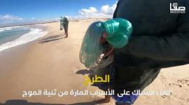 "البوري المهاجر".. موسم ذهبي لصيادي غزة