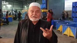 معاصر قطاع غزة