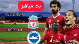 شاهد الان مباراة ليفربول وبرايتون بث مباشر