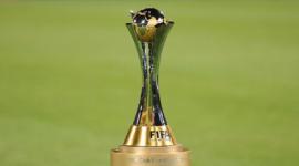 كأس البطولة