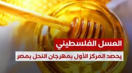 العسل الفلسطيني يحصد المركز الأول بمهرجان النحل بمصر