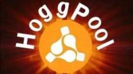 طريقة التسجيل في موقع ‏hogg pool