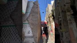 المهندسة ولاء شبلاق توثّق معالم البلدة القديمة في غزة