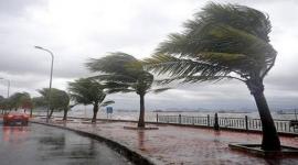 دعاء الرياح الشديدة مكتوبة .. أدعية مستجابة لحظة نزول المطر