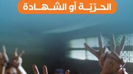 الحرية أو الشهادة عنوان معركة الأسرى مع الاحتلال