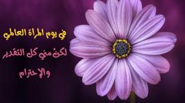 عبارات تهنئة يوم المرأه العالمي