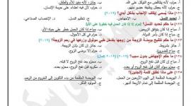 أسئلة هامة (اختيار من متعدد) في مادة التربية الإسلامية للثانوية العامة توجيهي 2023.