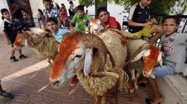 موعد عيد الأضحى 2023 في مصر