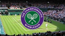 بث مباشر مباراة الكاراز ودجوكوفيتش مجانا في نهائي ويمبلدون 2023 اليوم السبت 15-7-2023