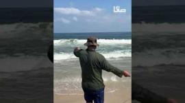 صيادون يصطادون سمك البوري المهاجر في بحر غزة