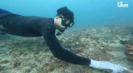 استخراج اللؤلؤ من بحر غزة