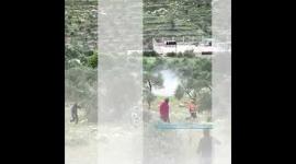 4073 انتهاكًا ارتكبها مستوطنون بحق الفلسطينيين منذ بدء 2023