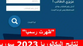 رابط نتائج البكالوريا 2023 سوريا برقم الاكتتاب والاسم - موقع وزارة التربية السورية