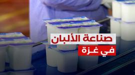 جولة في مصنع ألبان بمدينة غزة