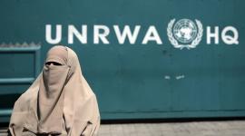 رابط فحص كابونات وكالة الغوث يوليو 2023 - UNRWA