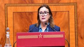 البرلمانية المغربية فاطمة التامني