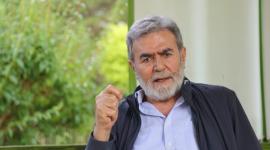 زياد النخالة