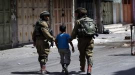  نادي الأسير: الاحتلال اعتقل 90 مواطنًا من الضفة خلال عيد الأضحى