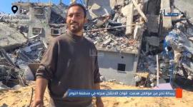 "رح أعمله قصر وخلعوا شجرة رح نزرع 10".. مواطن يتحدى الاحتلال الذي دمر بيته في التوام شمالي قطاع غزة