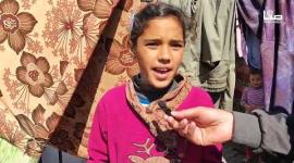 منهم من مات جوعًا وبعضهم بردًا.. أوضاع كارثية للنازحين بشمالي القطاع بفعل المجاعة والحرب