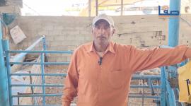 شح الأضاحي وقلة القبول عليها في غزة مع استمرار حرب الإبادة والحصار وإغلاق المعابرة