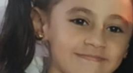 الشهيدة ياسمين شرف