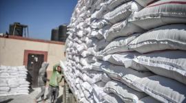 رابط كشف توزيع الطحين