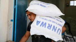 رابط التسجيل للحصول على كيس الطحين