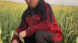 الشهيد مجاهد الحواجري