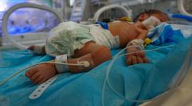 رابط تسجيل مواليد غزة 2020 - 2025 للحصول على المساعدات