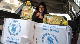 WFP رابط تحديث البيانات للحصول على المساعدات الغذائية في قطاع غزة