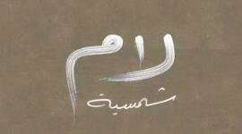 ما هي قصة طفل "لام شمسية" الحقيقية؟