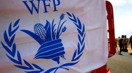 تحديث التسجيل في برنامج الغذاء العالمي (WFP)