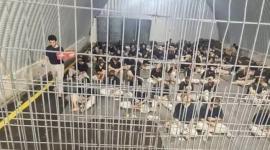 شهيد من قطاع غزة في سجون الاحتلال