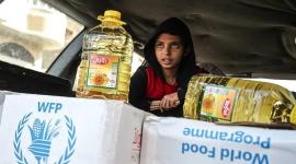 رابط تحديث بيانات برنامج الغذاء العالمي لضمان دعم الأسر في غزة