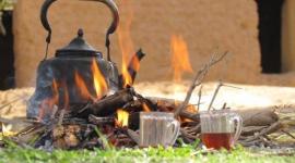 "سكر اللوز" ليس لوزًا: حقيقة السكرلوز ومخاطره