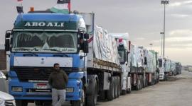 اللجنة المصرية تطلب كشوفات موحدة للعائلات عبر الواتساب