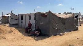 الآلاف من المواطنين ينصبون خيامهم في المناطق الشمالية الغربية لقطاع غزة رفضًا للنزوح