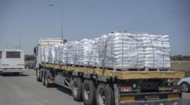 الشوا لـ"صفا": لا تغيير جوهري على دخول المساعدات لغزة و4 معابر لا تزال مغلقة
