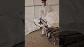 جانب من وصول 30 جثماناً لأسرى فلسطينيين إلى مستشفى ناصر جنوبي قطاع غزة