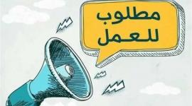 وزارة العمل تعلن عن 185 فرصة عمل مجزية في السويس