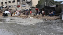 المنخفض الجوي في غزة