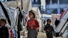 رابط تسجيل ايتام غزة 2025.. تعبئة بيانات ايتام الحرب في معهد الامل للايتام