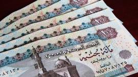 ضوابط التأمينات الاجتماعية: دليل شامل لمعاشات الورثة وخدمات المشتركين