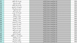 رابط فحص الغاز خانيونس 2025.. تحميل كشف الغاز خانيونس واسماء المستفيدين 17 نوفمبر 2025