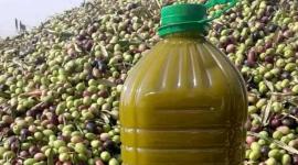 دليلك الشامل لزيت الزيتون: الفوائد وكيفية التمييز بين الأصلي والمغشوش