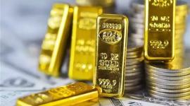 استقرار أسعار الذهب في مصر وتوقعات السوق