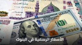 الدولار مقابل الجنيه في البنوك اليوم الثلاثاء 30 ديسمبر 2025