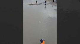 مياه الأمطار تشكل مستنقعات صغيرة وتعرّض خيام النازحين للغرق في مواصي خان يونس جنوبي قطاع غزة